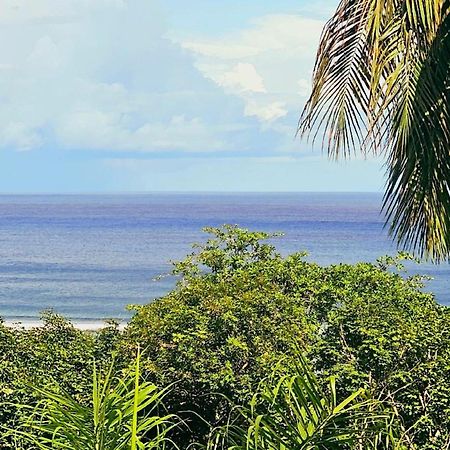 Au Lever Du Soleil Guest House Sea View Au Cap Bagian luar foto