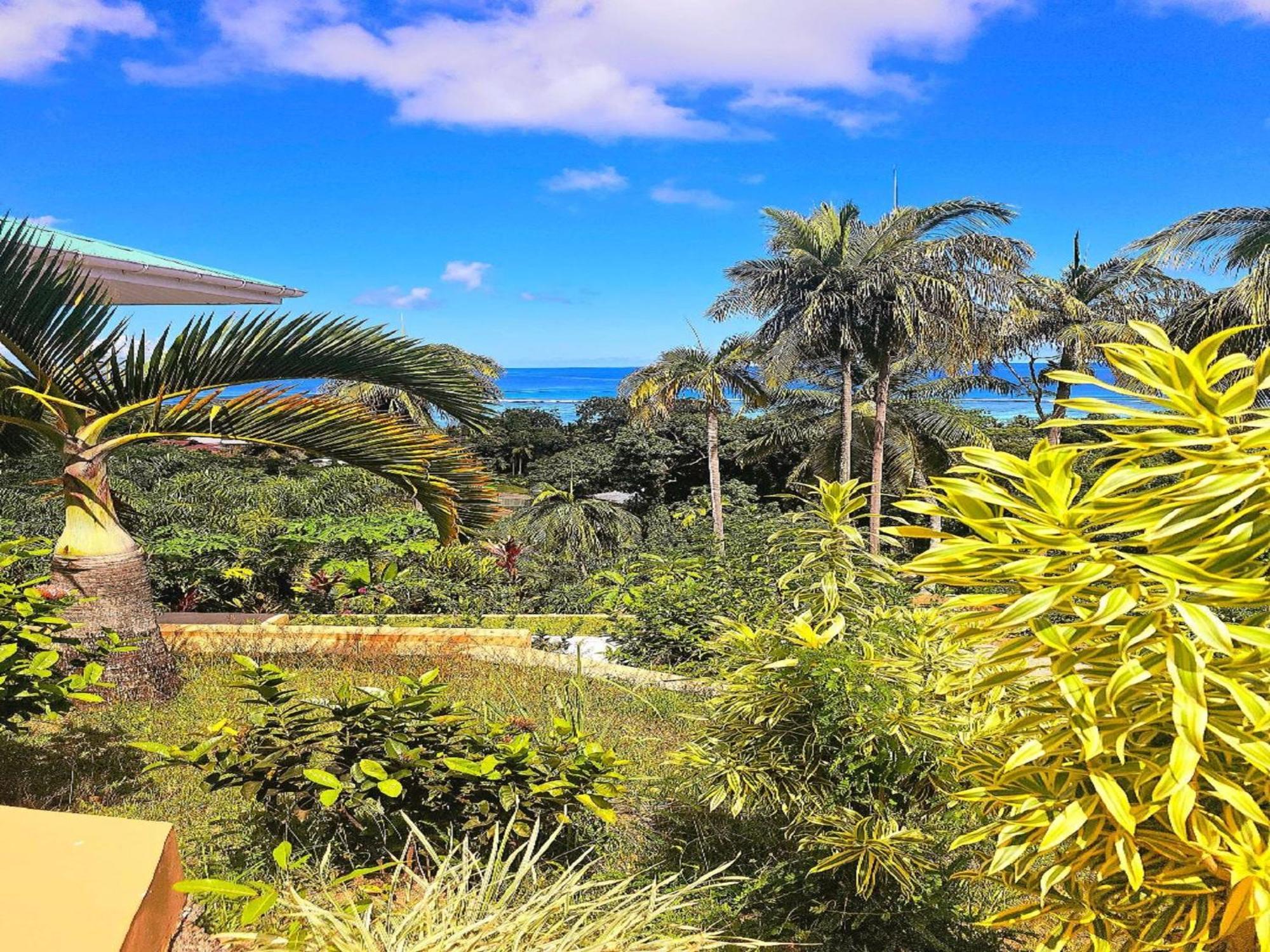 Au Lever Du Soleil Guest House Sea View Au Cap Bagian luar foto