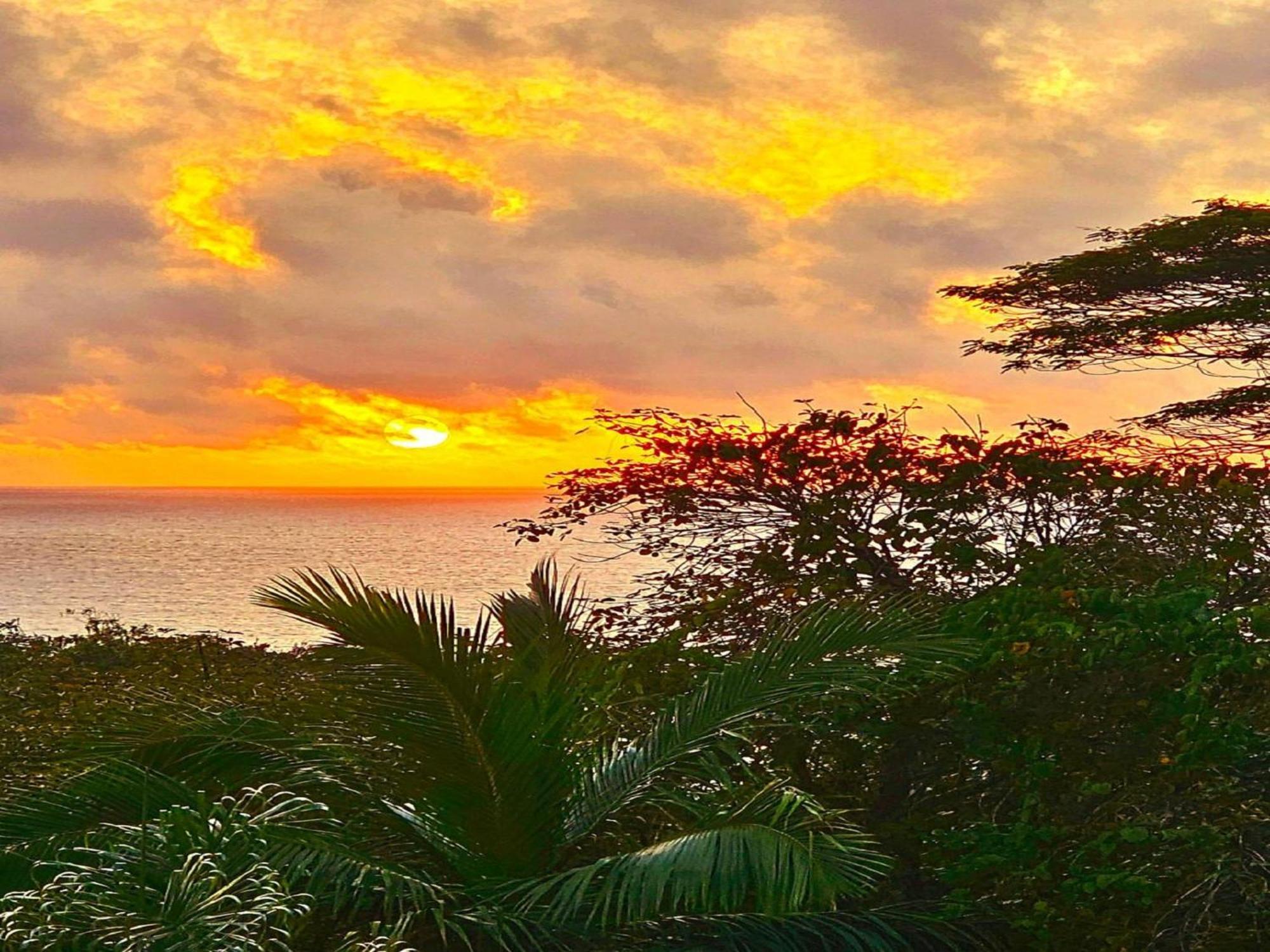 Au Lever Du Soleil Guest House Sea View Au Cap Bagian luar foto