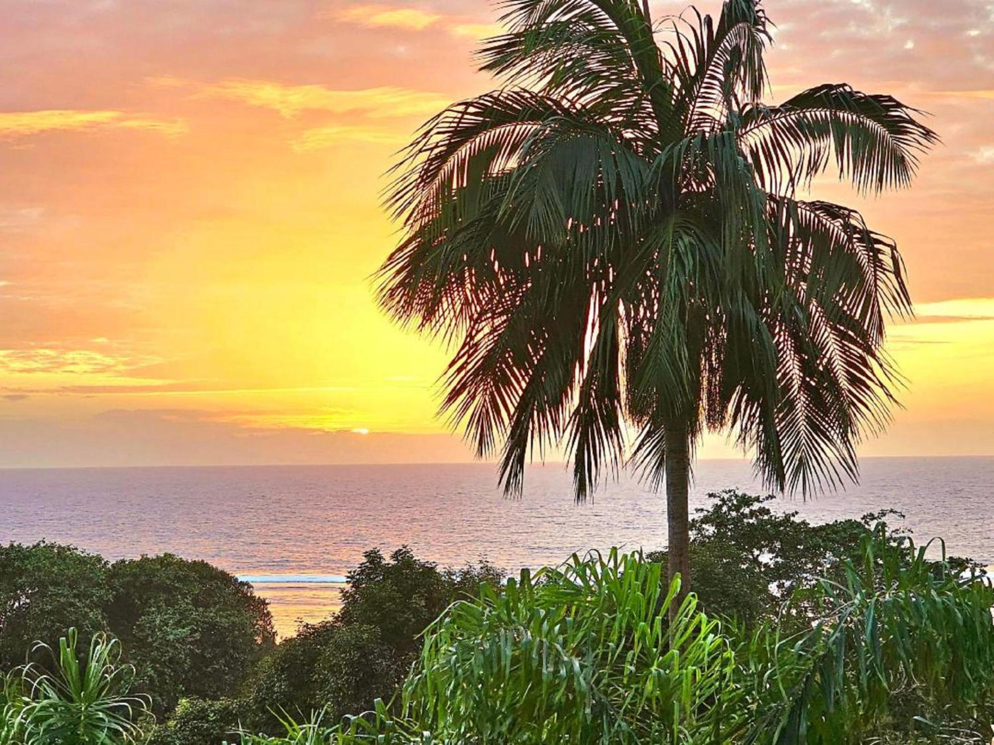 Au Lever Du Soleil Guest House Sea View Au Cap Bagian luar foto